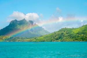 Photo ©Jill K H Geoffrion, Ph.D., www.jillgeoffrion.com