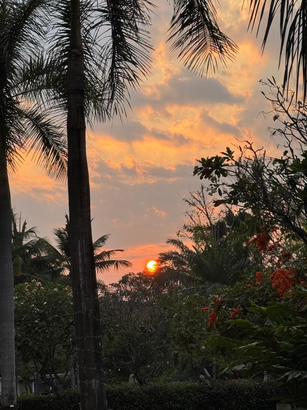 The Light of Day: Why keeping our eyes on Jesus is so&nbsp;helpful