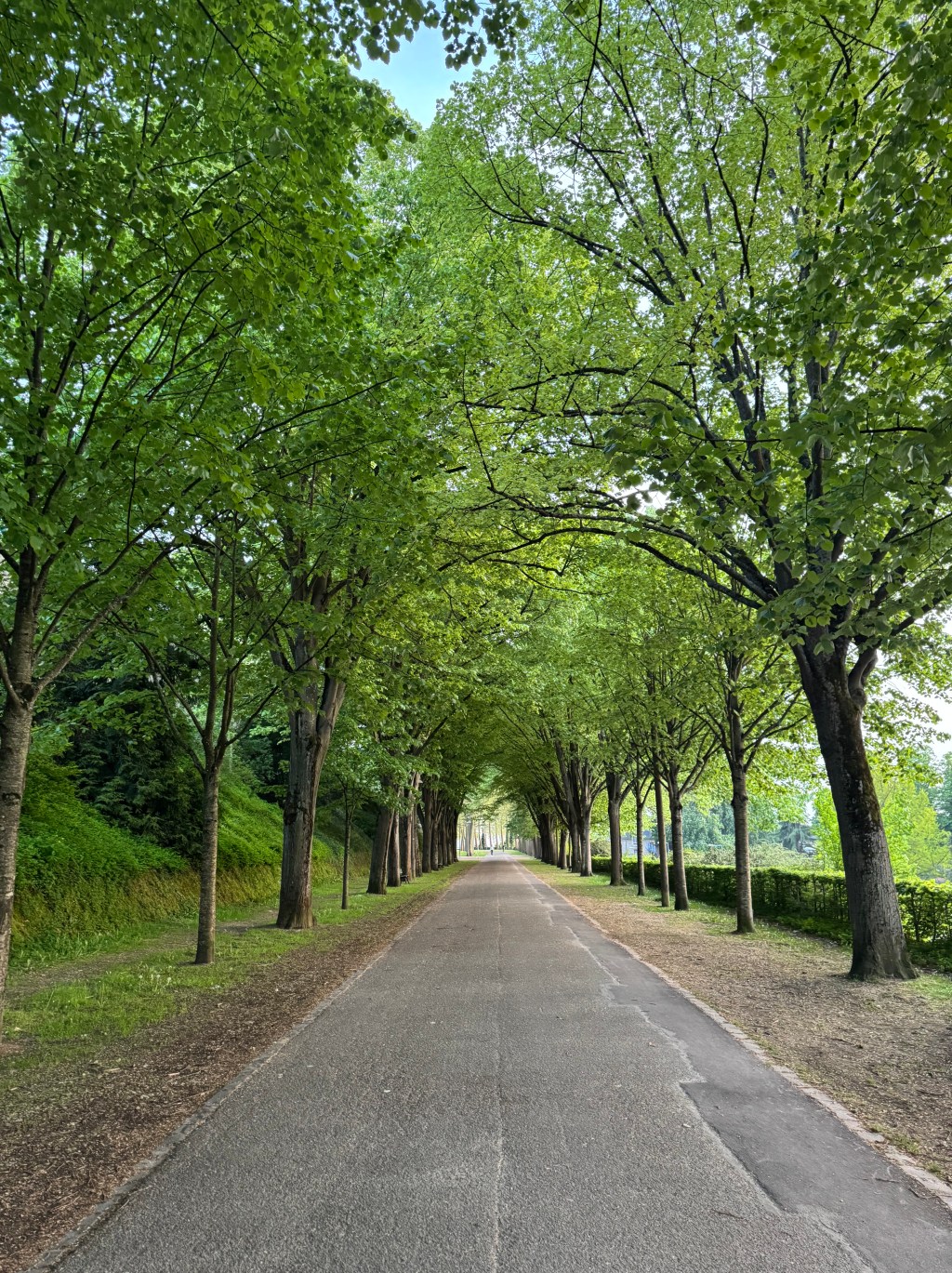 The Journey to&nbsp;Joy